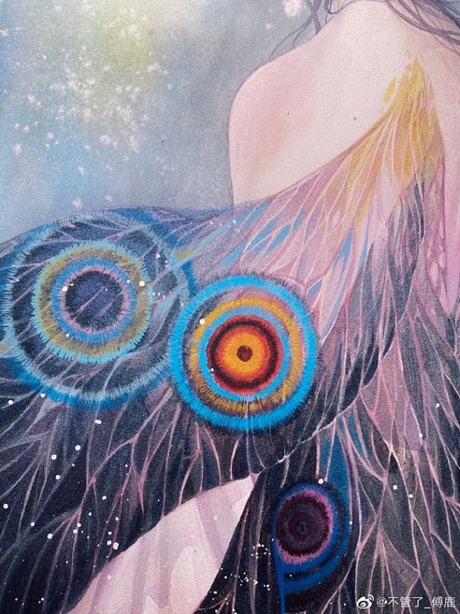 sophia舒珦从南祈己转采于2020-11-18 11:13:53【化蛾 】绘 付璐插画