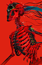 teru-es-p-003