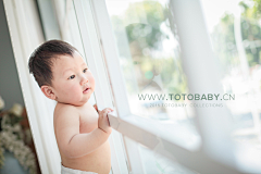 陶陶儿童摄影采集到totobaby