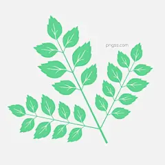 绿色的树叶平面设计图图片大小1000x1000px 图片尺寸127.94 KB 来自PNG搜索网 pngss.com 免费免扣png素材下载！葱葱郁郁#根茎#护眼#卡通手绘#绿色#绿植#脉络#平面#设计#手绘#树叶#夏天#小清新#