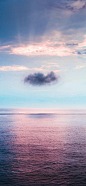 《海》