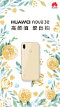 华为终端官方微博的照片 - 微相册