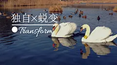 毕业季宣传、传单、海报、模版，更多模版就在“创客贴线上设计”，优惠卷、海报封面、邀请函、ppt、传单、名片、工作证、会员卡、明信片、桌面、手机背景、新闻稿、简历、淘宝美工、订阅号主图、各种模版，大量免费素材免费模版！快来使用吧~~www.chuangkit.com