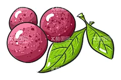 杨梅素材  - 源文件下载【酷图网】手绘水果,水果,果子,杨梅,手绘水果杨梅,手绘,插画,食品包装,杨梅包装,杨梅插图,卡通杨梅,杨梅包装素材,手绘杨梅,水果插图,杨梅卡通,