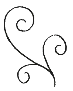 DECORATIVE_ELEMENT_LINE_34