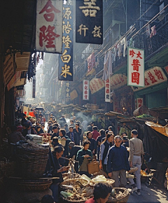 巡游乐园采集到场景