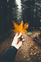 Autumn is here. photo by Clément M. (@cmreflections) on Unsplash : Download this photo in Monsols, France by Clément M. (@cmreflections)