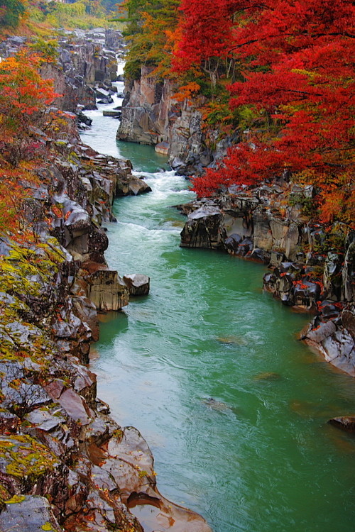 秋季的峡谷，Genbikei，日本