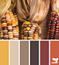 Design Seeds® | find your palette