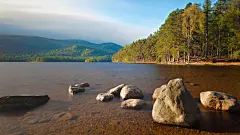 风景美图（可做桌面壁纸） - 彼岸桃花 - .