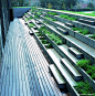 concrete steps/ planters  / marianne_levinsen_CBS_campuslan