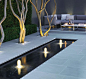 Modern water rill and lighting. Love this! Trees and everything...very modern, classy garden.: 