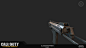 Call of Duty Advanced Warfare MP11 Sub-Machine Gun, JT White(1)