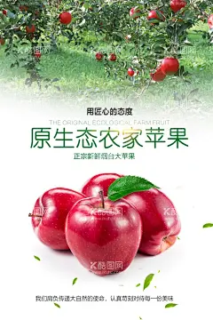 苹果海报  - 源文件下载【酷图网】苹果,苹果海报,苹果展架,苹果贴纸,苹果图片,苹果展板,苹果标签,苹果宣传单,水果苹果,苹果批发,摘苹果,批发苹果,苹果专卖,苹果基地,苹果挂图,苹果红富士,美味苹果,吃苹果,种植苹果,苹果熟了,苹果树,苹果园,苹果果园,新鲜苹果,富士苹果,苹果画册,苹果产地,苹果包装,阿克苏苹果,线上海报