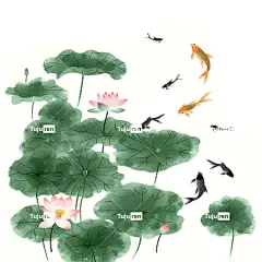 荷叶荷花插画手绘唯美元素