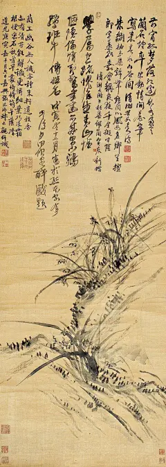 石涛 兰花 立轴 墨色绢本作品欣赏