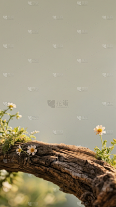 白露i未晞采集到场景背景