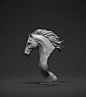 Horse, Martin Nikolov : Horse head I did for the Zbrush Core Beta test, Rendered in Modo