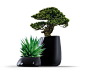 Flowerpots-Planters | Planting | Stone | Vondom | Stefano. Check it out on Architonic: 