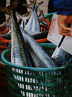 在河之洲i采集到海鲜