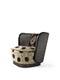 21st Century Caral Armchair in Fabric and Vienna Straw by Etro Home Interiors
