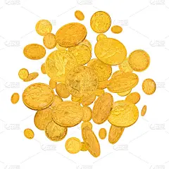 飞黄金美元