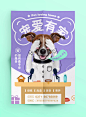 可爱风格萌宠海报版式设计【排版】诗人星火课程学员作品（侵权必究）