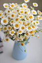Roadside flowers can look perfectly polished indoors. Harvest several dozen daisies and create an overflowing bouquet for the kitchen.