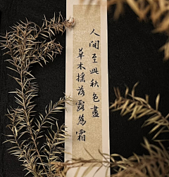 yiyi920采集到中国-二十四传统节气摄影
