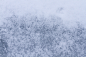 TexturesCom_Ice0045_S