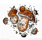 香菇蘑菇野菌汤料理餐饮餐馆插图