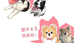 漫画q版头像人物动漫logo设计狗狗宠物画像代画照片手绘定制-淘宝网