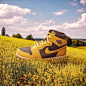 adobe Costa Rica DUNK jordan New Balance Nike Photo Composite photoshop sneakers