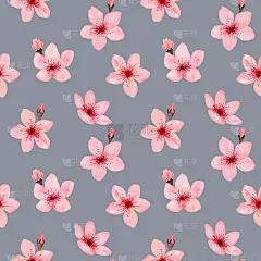 无缝图案手绘水彩樱花，花朵精致。日本的樱花。设计婚礼请柬，面料，包装，纺织品，封面，明信片，纸，贺卡
