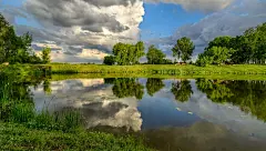 tranquil