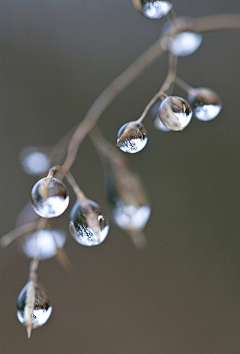 圣诞节会下雪吗22采集到平面