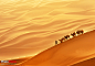 沙漠驼队 - 作品交流 - 佳友在线摄影网