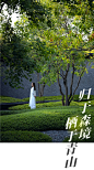 https://shop454772375.taobao.com/index.htm?spm=2013.1.w5002-17060479234.2.4522778bmLELrr