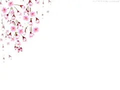 樱花    - 源文件下载【酷图网】樱花,花瓣,粉色花,桃花免扣,小清新,樱花免扣,春天,桃花,梨花,樱花背景,樱花盛开,花朵,花草,花卉,浪漫,情人节,芳香,盛开,花朵卡通图片,手绘樱花,花朵背景,樱花素材,唯美素材,唯美樱花,粉色,唯美,古典花纹,手绘梅花,腊梅,红梅,梅花图片