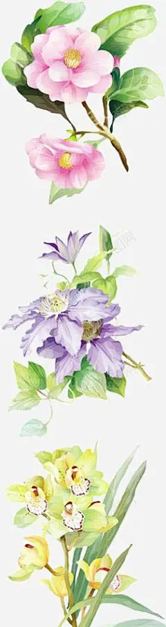 3款手绘花朵 平面电商 创意素材