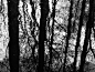 静默的黑白风景 | 摄影师David Castenson - 风光摄影 - CNU视觉联盟