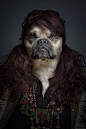 Underdogs by Sebastian Magnani, via Behance #inspiration #photomanipulation #dogs