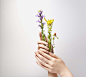 Marketplace : LOOKBOOKS.com is the Technology behind the Talent. Discover, follow, share. 