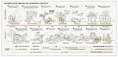 与蜜蜂共存--在坎佩切重建本土农林系统3
