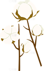 棉花