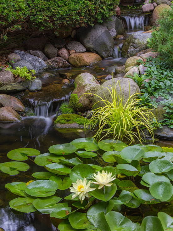 Beautiful Ponds in D...