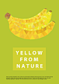 Color From Nature on Behance