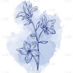 蓝色水彩线稿花卉元素