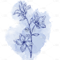 蓝色水彩线稿花卉元素