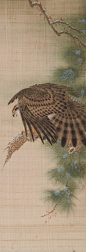 画家 牛鹏飞 #工笔画##中国画# 2中国·台湾